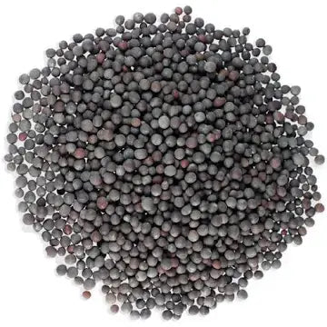 Black Mustard Seeds – Protection & Banishing Ritual Herb