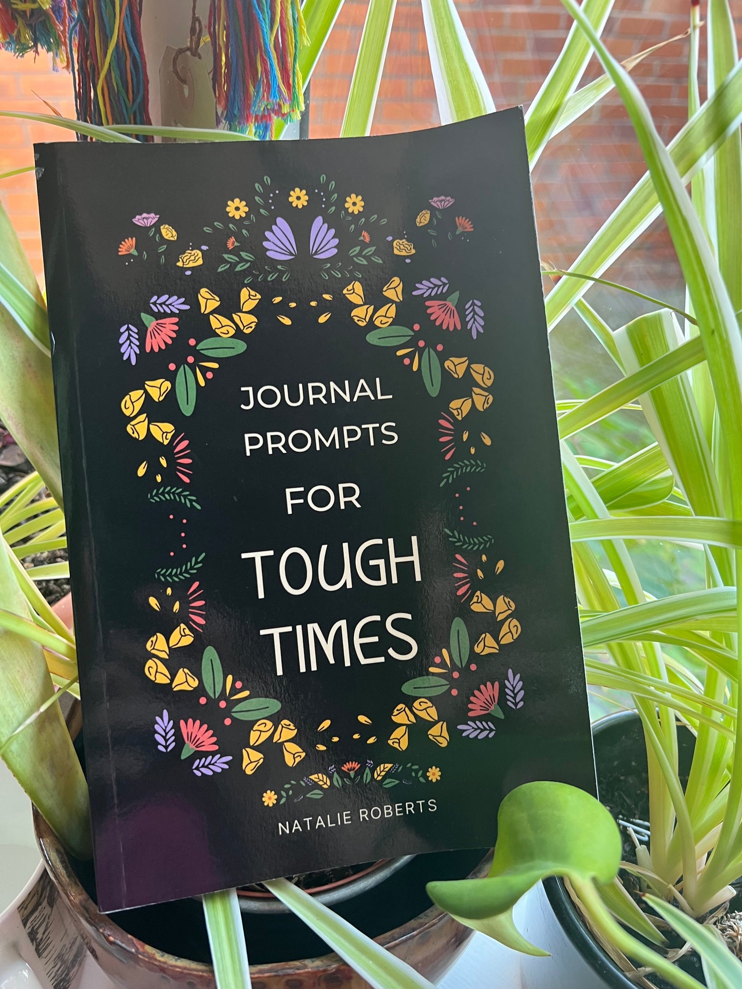 3 Book Bundle