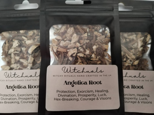 Angelica Root
